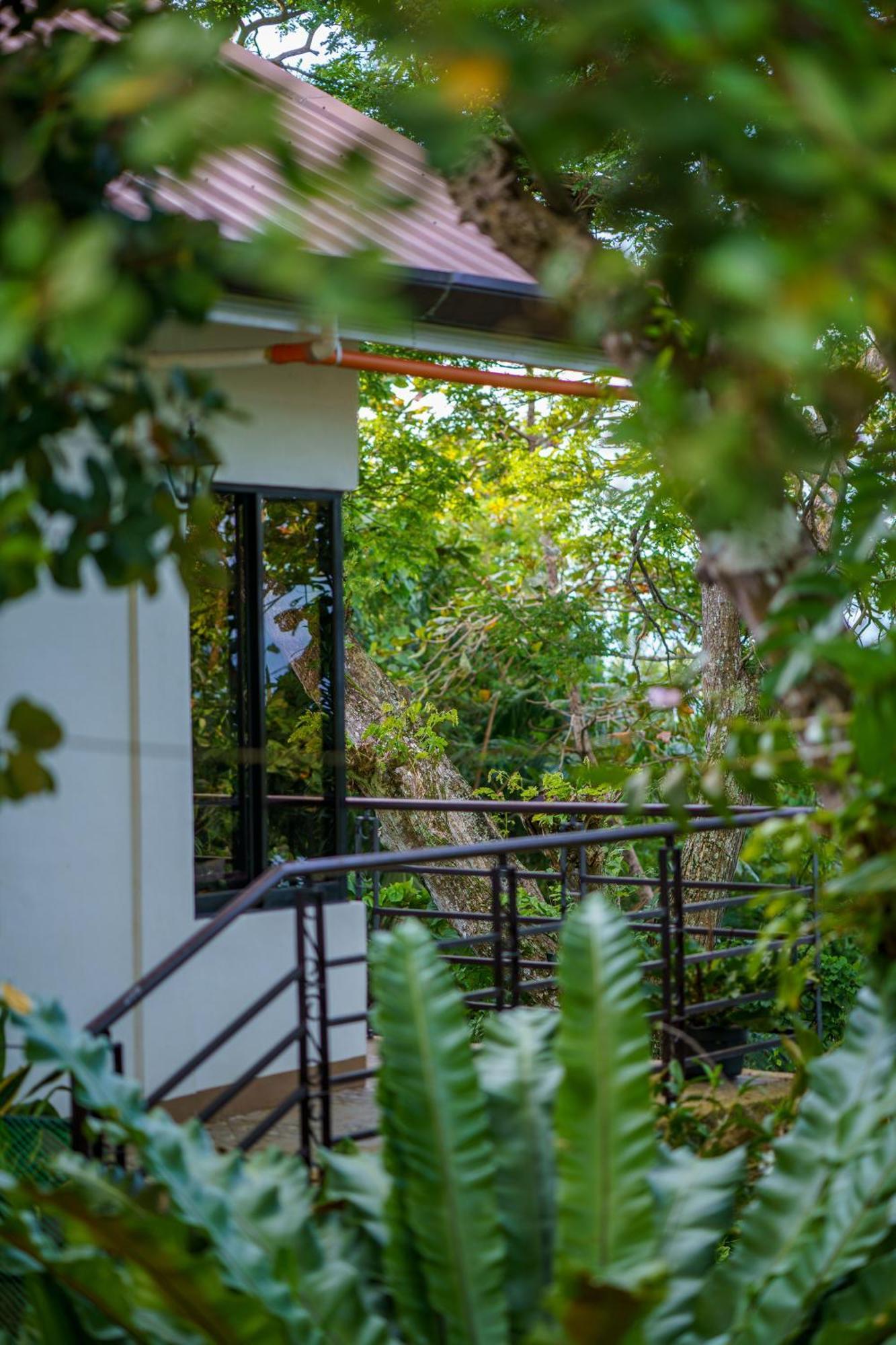 Oceanside 2 Bedroom House, 100Mbps Wifi Panglao Extérieur photo