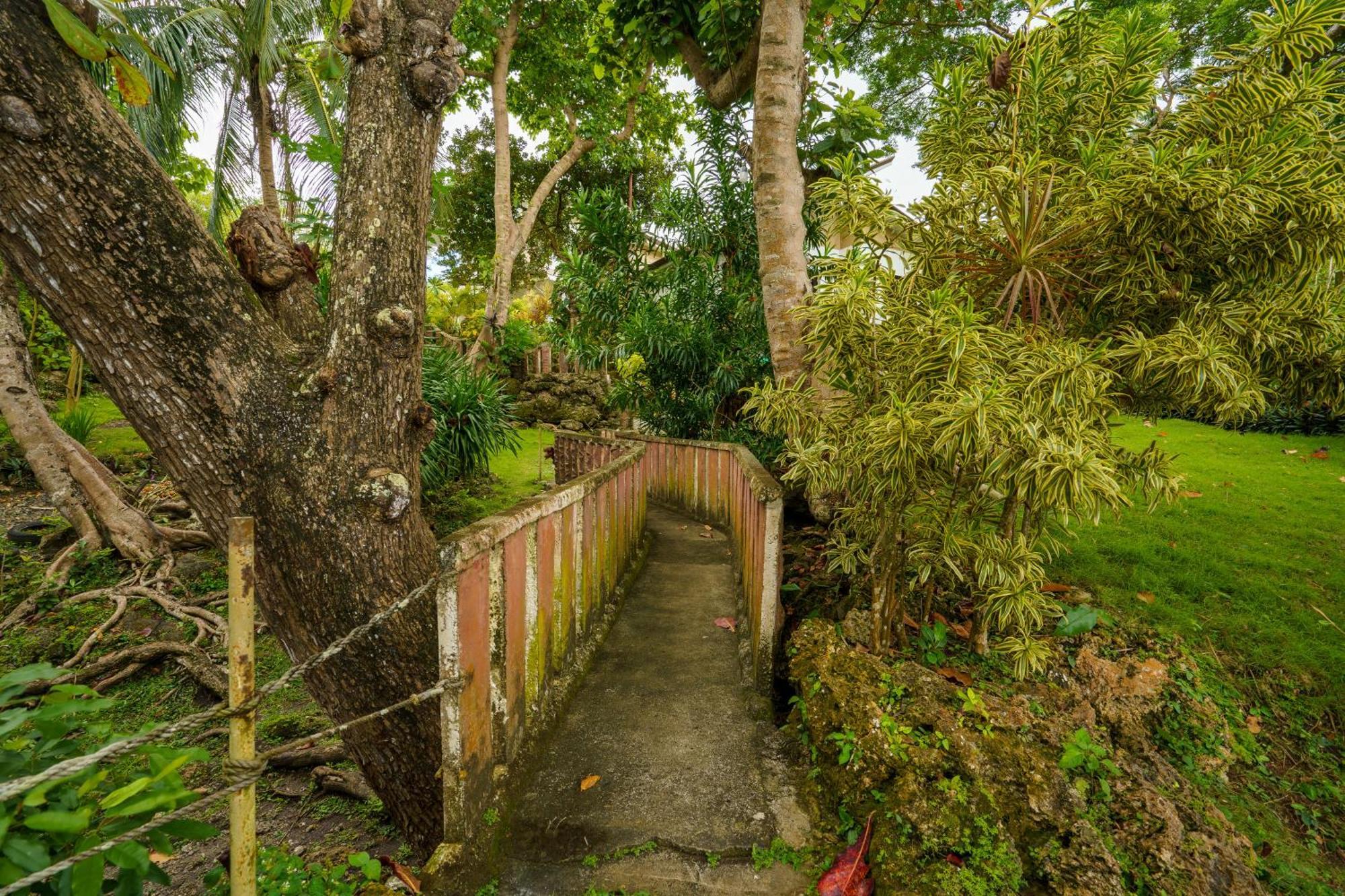 Oceanside 2 Bedroom House, 100Mbps Wifi Panglao Extérieur photo