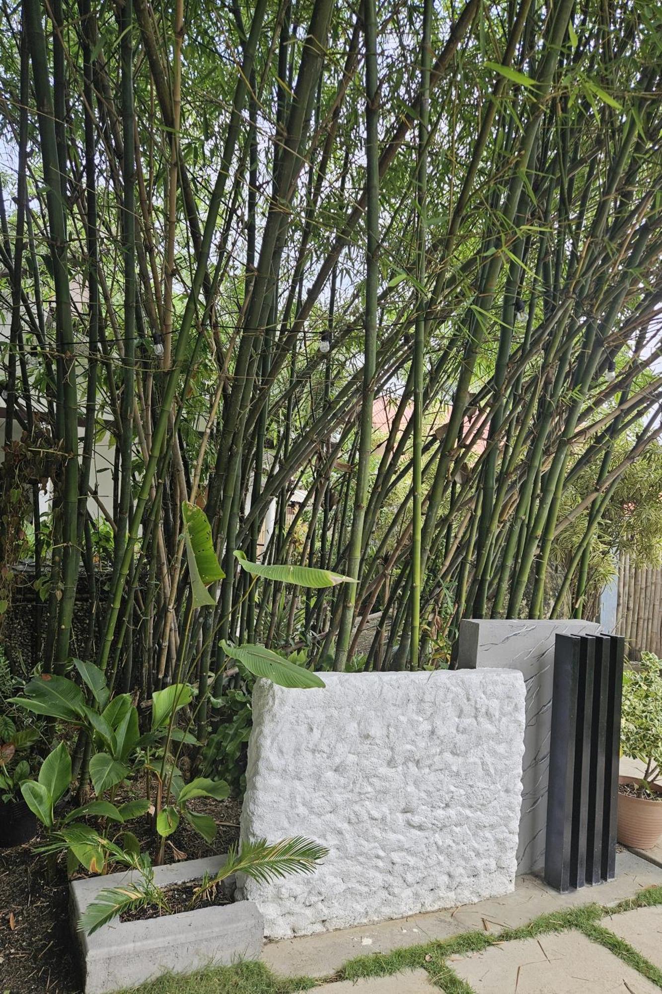 Oceanside 2 Bedroom House, 100Mbps Wifi Panglao Extérieur photo