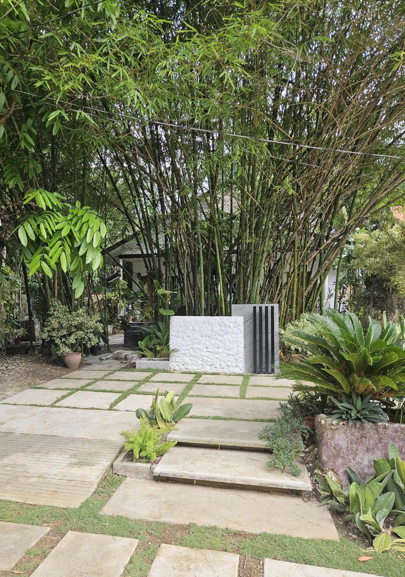 Oceanside 2 Bedroom House, 100Mbps Wifi Panglao Extérieur photo